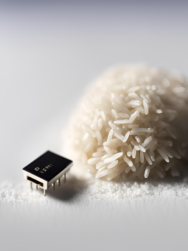 Did you know? World’s Smallest computer is smaller than a Grain of Rice. | techtoknow.io