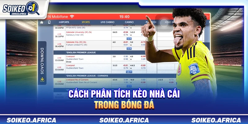 Phân Tích Kèo Nhà Cái: Cách Đọc Handicap, Odds & Tài Xỉu Cách Phân Tích Kèo Nhà Cái Trong Bóng Đá