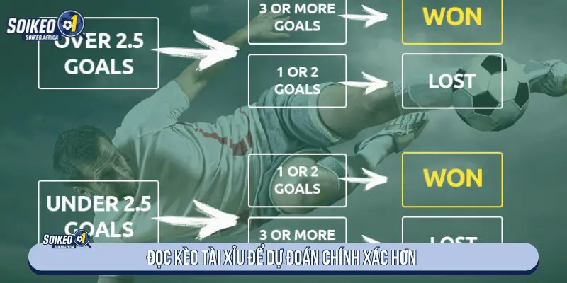 Dự Đoán Tỷ Số Bóng Đá: Cách Đọc Dữ Liệu & Tài Xỉu Đọc tài xỉu khi dự đoán tỷ số