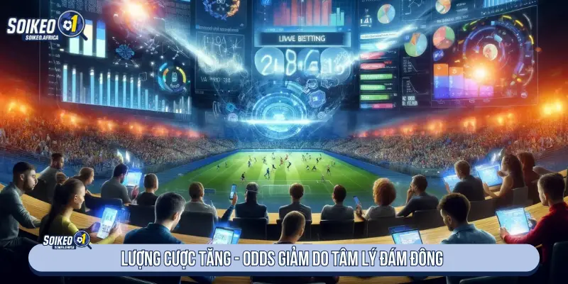 Biến động odds ở các trận bóng đá được chú ý nhiều