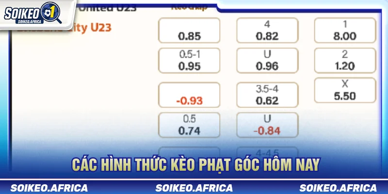 Kèo Phạt Góc Hôm Nay: Cách Đọc Chấp Góc & Tài Xỉu Các nhóm dữ liệu trong kèo phạt góc hôm nay
