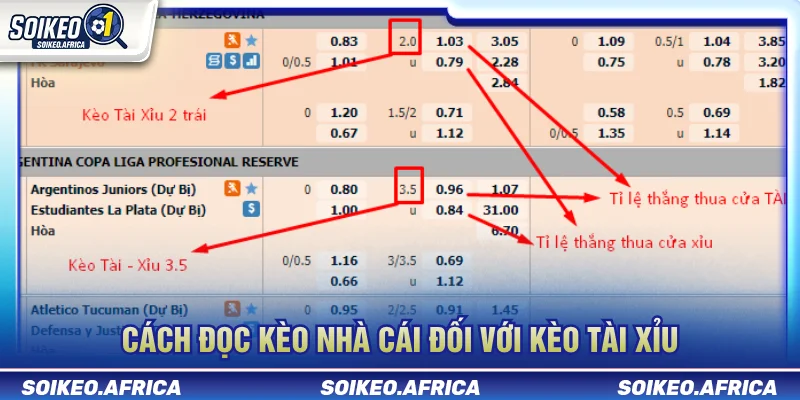 Cách đọc tài xỉu bóng đá