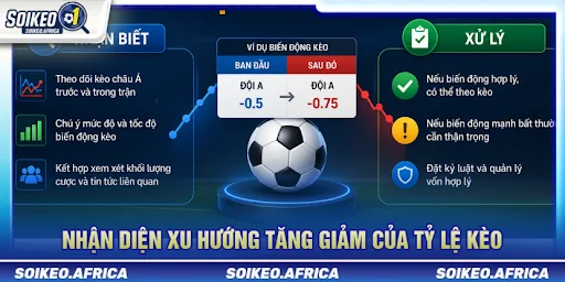 Đọc Tỷ Lệ Kèo Châu Á Trước Trận: Handicap & Odds Đọc tỷ lệ kèo châu Á trước trận và theo dõi biến động handicap