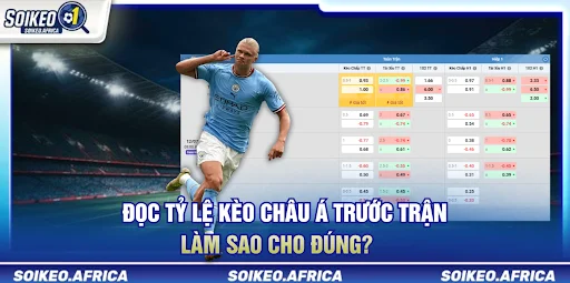 Đọc Tỷ Lệ Kèo Châu Á Trước Trận: Handicap & Odds Đọc tỷ lệ kèo châu Á trước trận